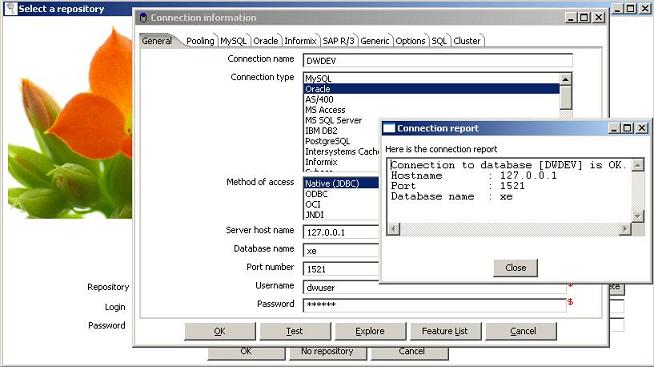 Database connection in Spoon - a part of Kettle ETL