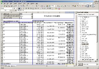 Excel crosstab generated from a fact table